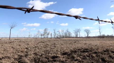 Barred Wired Property with Trees in background Stock Footage 47946790