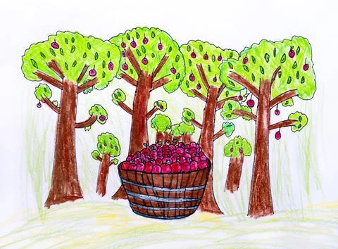 A barrel with apples in it in front of some apple trees in an orchard. A penc Stock Illustration