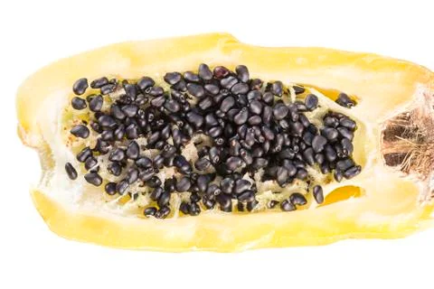 Barrel cactus fruit Stock Photos