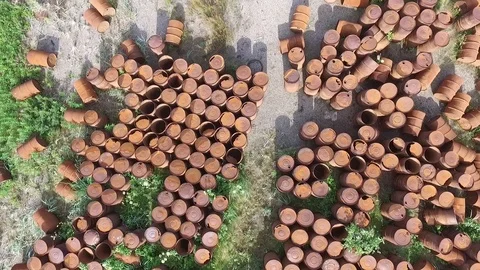 Barrel ecology Video stock 98490560