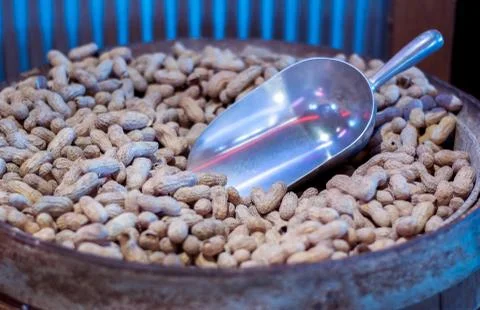 Barrel filled with roasted peanuts Stock Photos