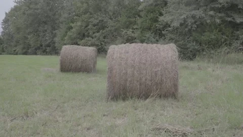 Barrel of hay Stock Footage