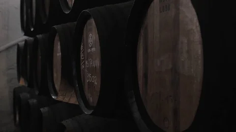 Barrel rows in a winery, wine porto barrels stock on old factory, porto Stock Footage