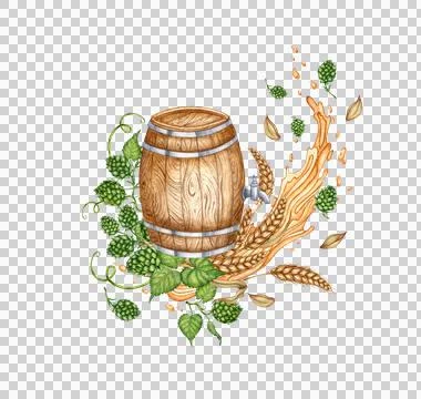 Barrel with splashes of beer, hops and ears of wheat watercolor Stock Illustration