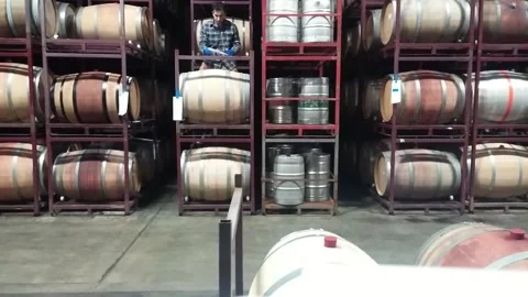 Barrel Tasting Stock Footage 155210645