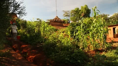 Barrel with water collection Video stock 21517697
