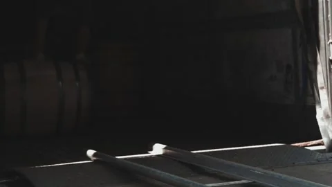 Barreling 15 Stock Footage 240028206