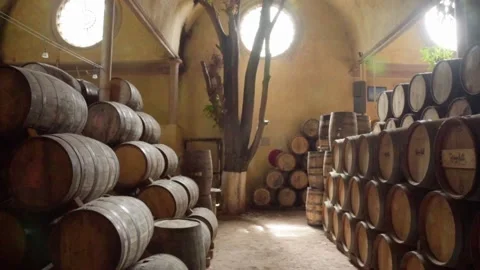 Barrels of añejo tequila Stock Footage 223854182