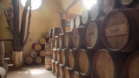Barrels of añejo tequila Stock Footage 223854192