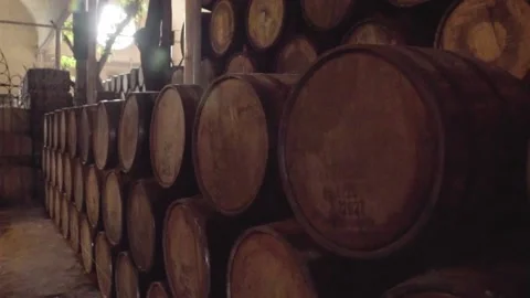 Barrels of añejo tequila Stock Footage 223854193
