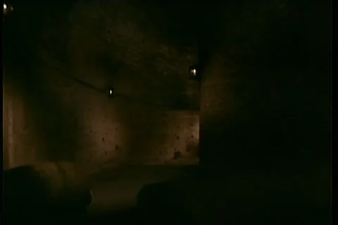 Barrels rolling down to cellar Stock Footage 11347641