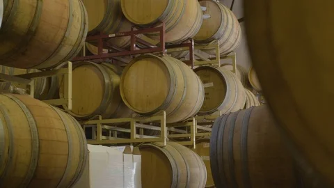 Barrels stored in a row at a winery Stock Footage 87801392