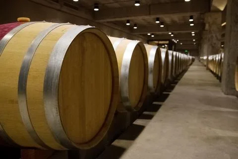 Barrels with wine aging in a cellar. Stock Photos