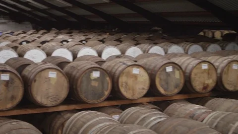 Barrels of wine aging in the vineyard cellars Stock Footage 81540210