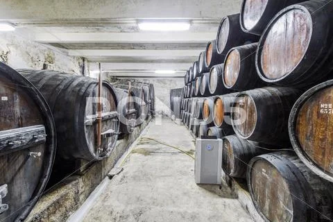 Barrels of wine aging in wine cellar Stock Photos