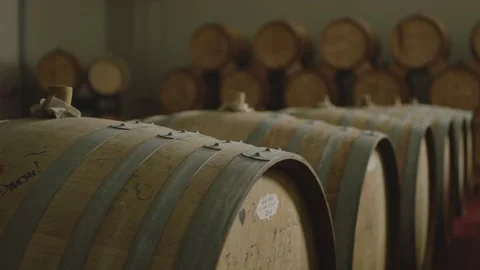 Barrels with  wine brandy whiskey in warehouse . Wine preparation fermenting Stock Footage