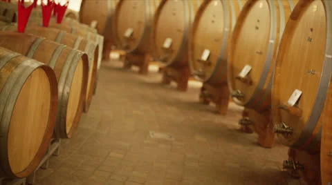 Barrels in a wine cellar Stock Footage 25500622