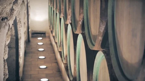 Barrels for wine in the cellar Stock Footage 79338414