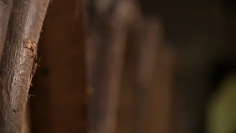 Barrels of wine in a cellar Stock Footage 83871958