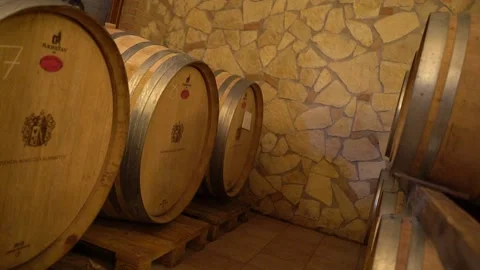 Barrels in wine cellar Vídeo Stock 197631095