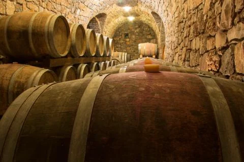 Barrels in a wine cellar Stock Photos