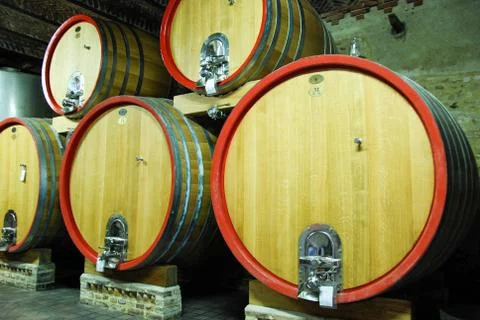 Barrels in a wine cellar Stock-Fotos