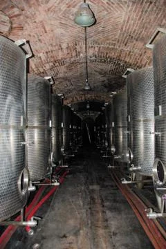 Barrels in a wine cellar Stock Photos