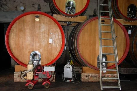 Barrels in a wine cellar Foto stock