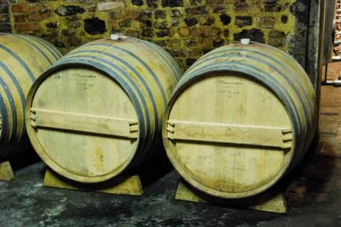 Barrels in a wine cellar Stock Photos