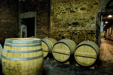 Barrels in a wine cellar Stock Photos