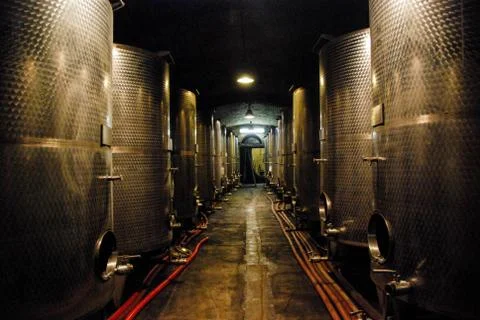 Barrels in a wine cellar Stock Photos