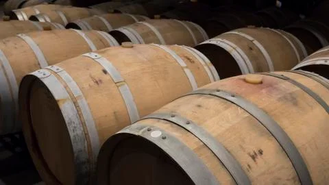Barrels in a wine cellar Stock Photos