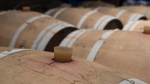 Barrels in a wine cellar Foto stock