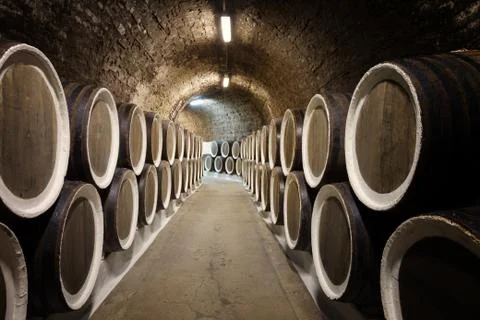 Barrels in the wine cellar Stock Photos