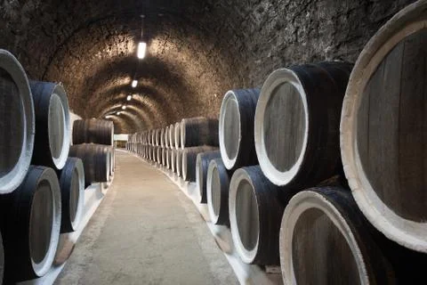 Barrels in the wine cellar Stock Photos