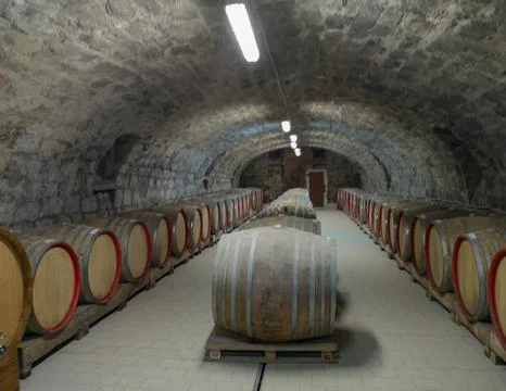 Barrels in wine cellar. Stock Photos