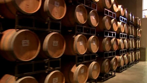 Barrels of wine in a warehouse Video stock 78978512