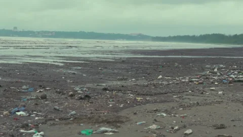 Barren coastline is completely covered with plastic debris, microplastic, and Video stock 332245986