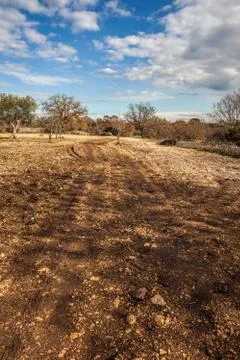 Barren countryside Stock Photos