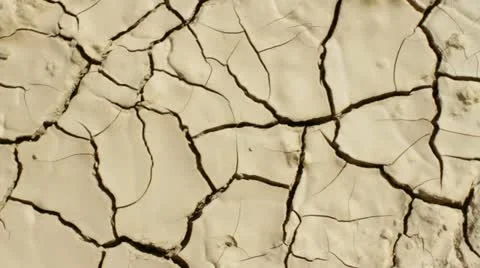 Barren cracked soil Vidéo 11226397