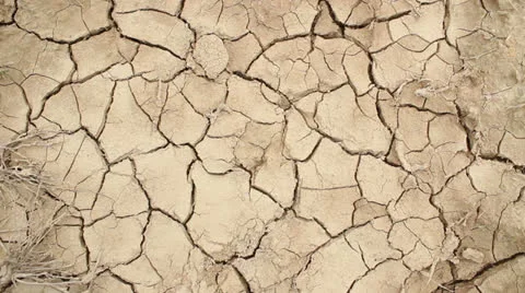 Barren cracked soil Stock Footage 23426680