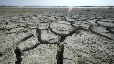 Barren, cracking earth revealing severe drought conditions in crimean landscape Stock-Footage 319050269