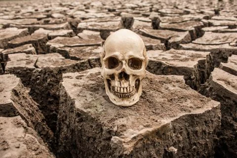 Barren is dead 스톡 사진