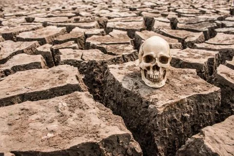 Barren is dead Foto stock