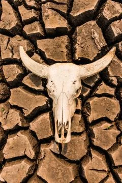 Barren is dead Foto stock