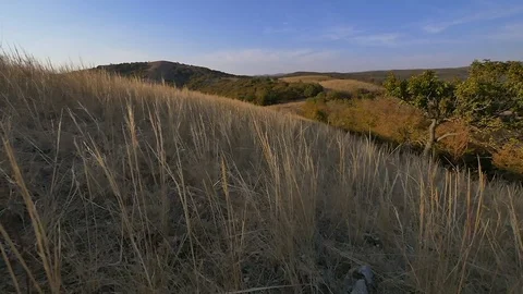 Barren field in summer Vidéo 87987635