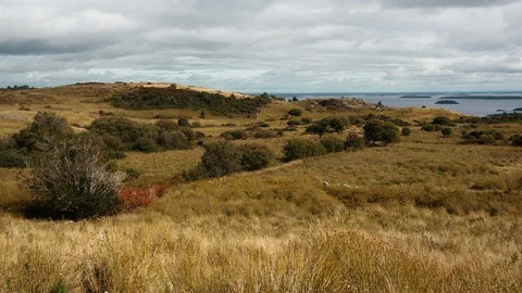 Barren fields and brush with distant lake Video stock 93796753