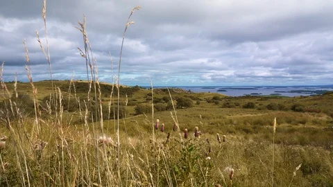 Barren fields, light breeze, with view of distant lake and islands Video stock 93792911