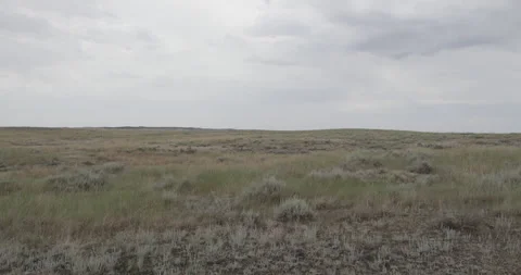 Barren grassland in Oregon, static shot Stock Footage 332445853