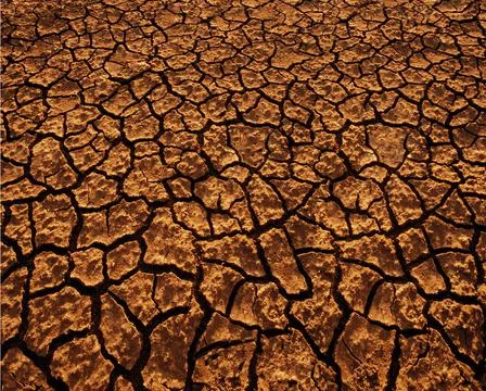 Barren Ground Stock Photos